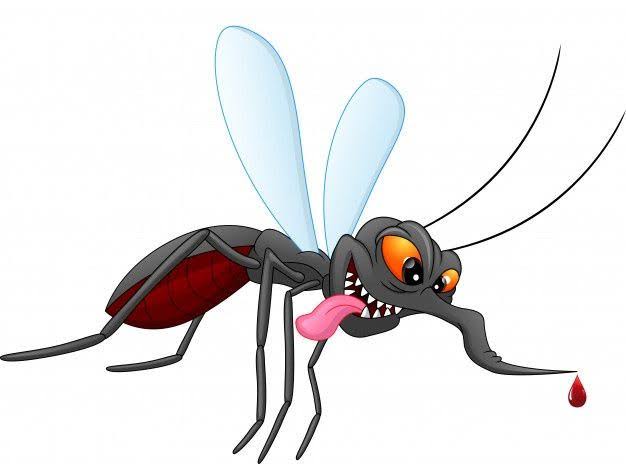 images (8)